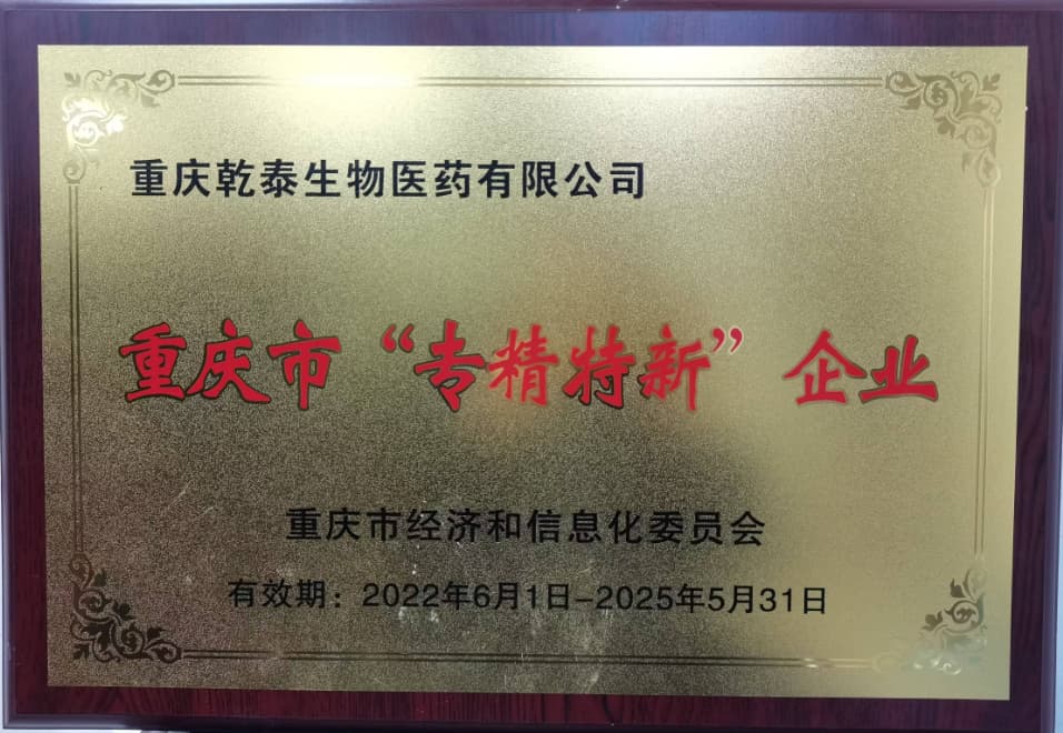 重庆市专精特新企业